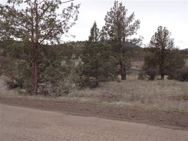 L40007-1 1.02 Acres in KCRE Near the Klamath River, Siskiyou County, CA $14,999.00 ($211.29/Month)