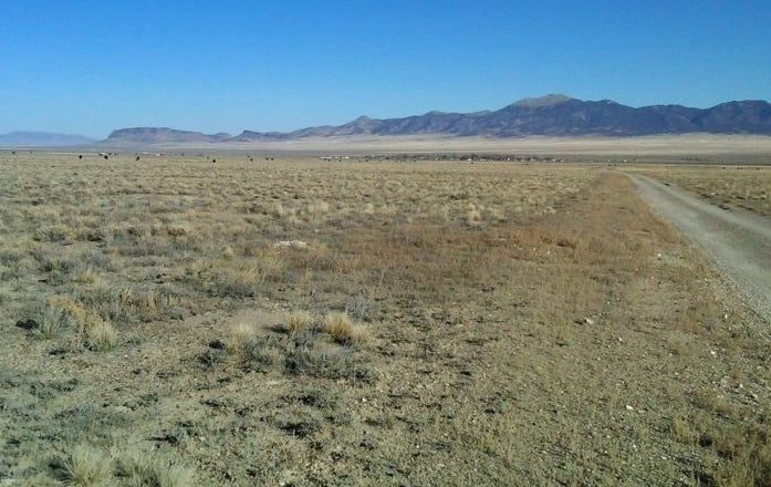 #L40050-1 2.07 Acres in Elko County, Nevada $9,999.00 ($119.86/ Month)