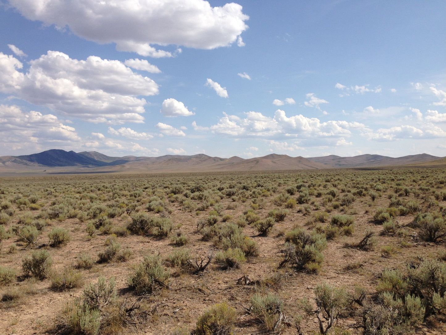 #L206987-1 10 Acres in Elko County, Nevada $10,499.00 ($140.02/ Month)