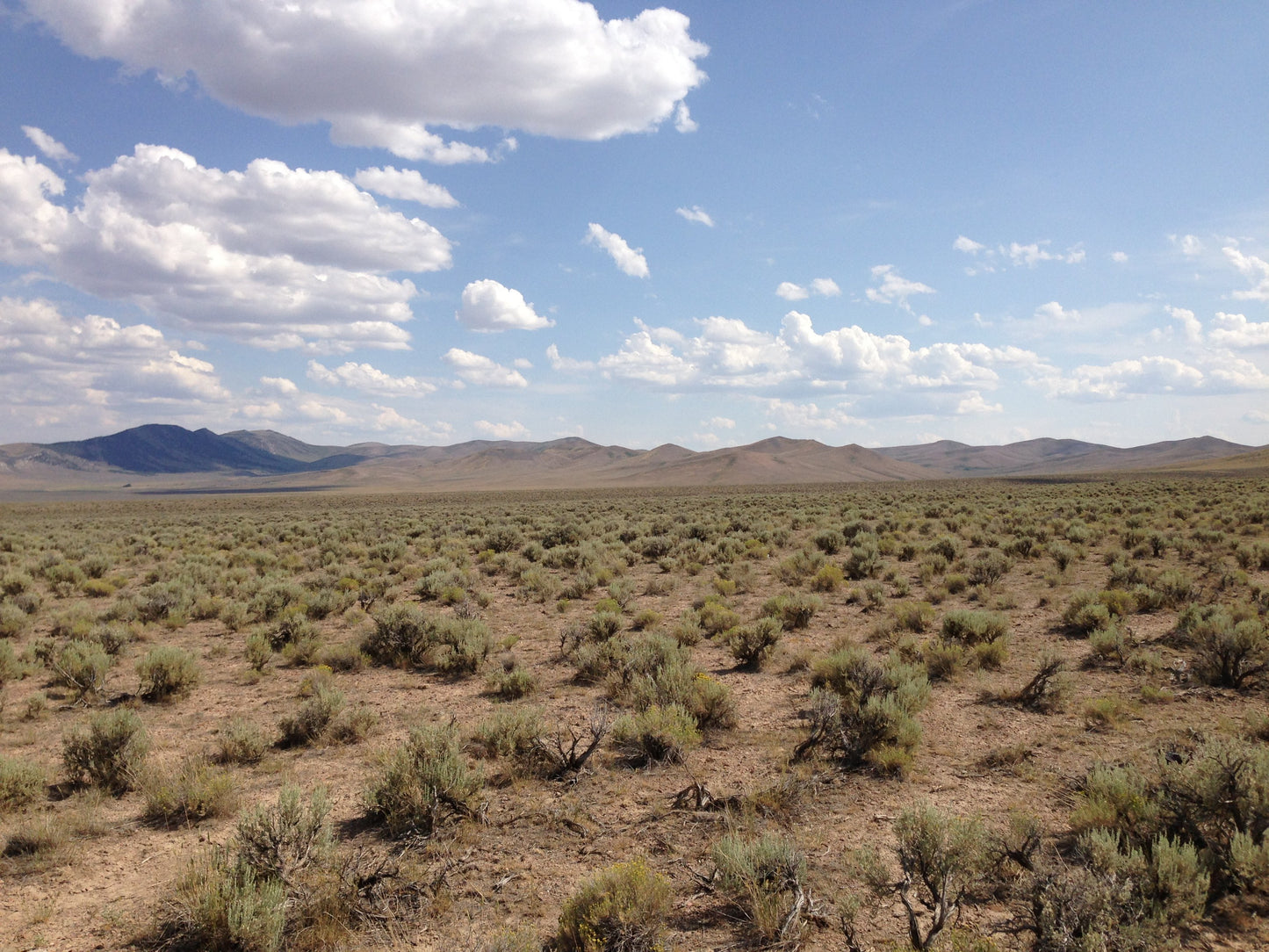 #L07001-1 10 Acres in Elko County, Nevada $9,999.00 ($118.73/ Month)