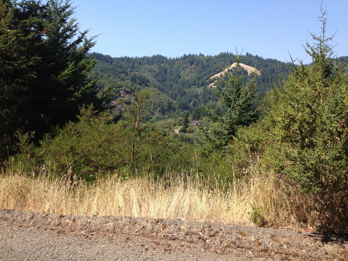 #L07346-1 Cul-de-sac Lot in Shelter Cove, Humboldt County CA $9,900.00 ($145.56/Month)