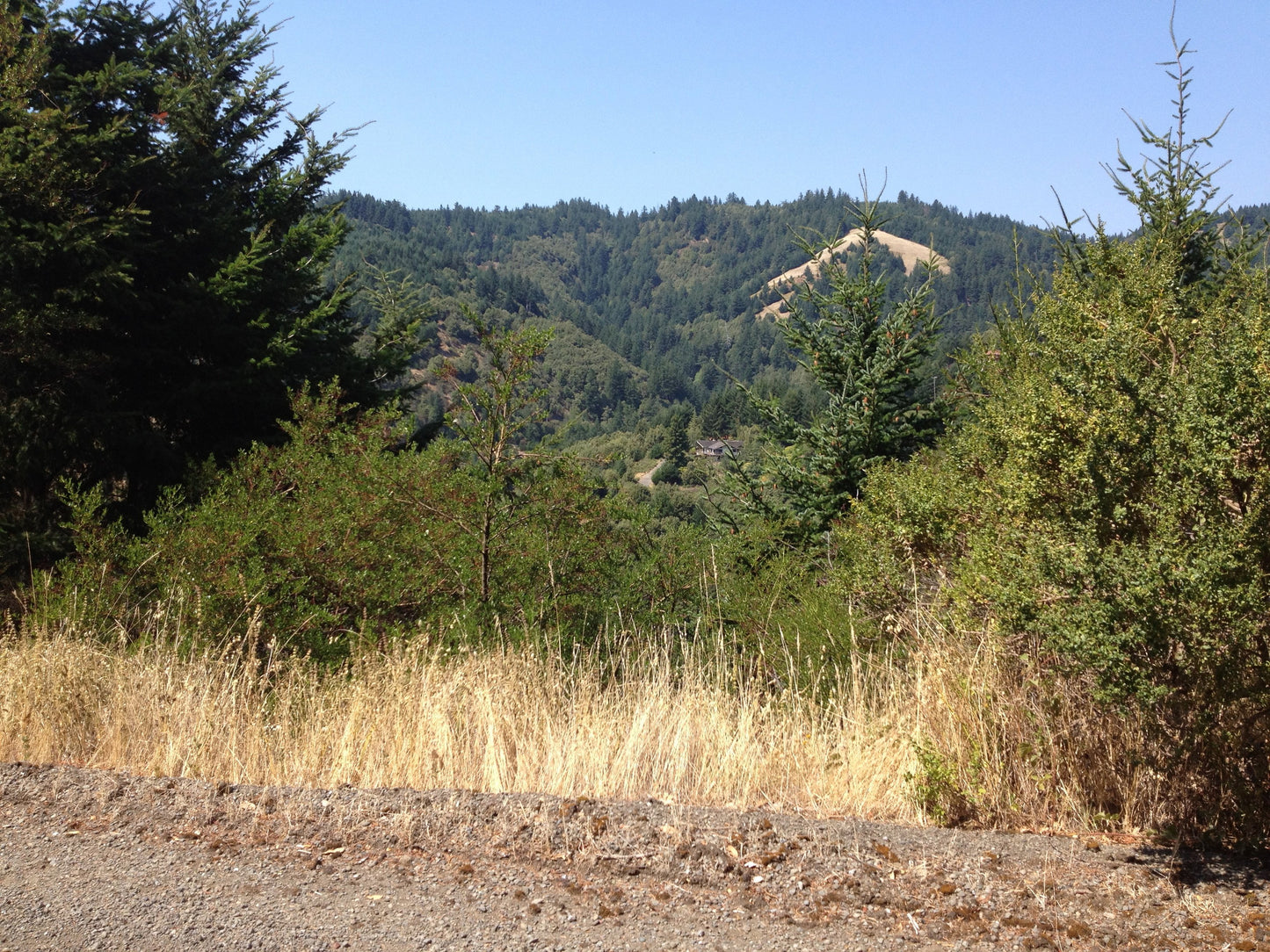#L00472-1 .23 Acre Lot in Shelter Cove, Humboldt County CA $19,900.00 ($257.14/ Month)