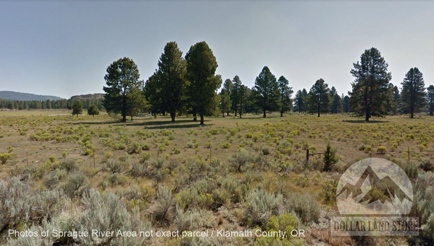 L206900-1 1.50 Acres in Oregon Pines Subdivison, Klamath County, OR $7,999.00 ($100.20/ Month)