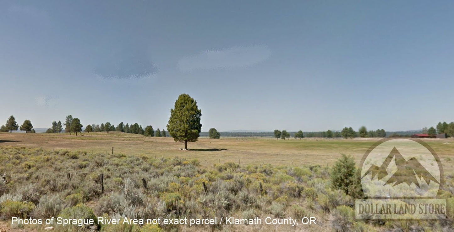 L206900-1 1.50 Acres in Oregon Pines Subdivison, Klamath County, OR $7,999.00 ($100.20/ Month)