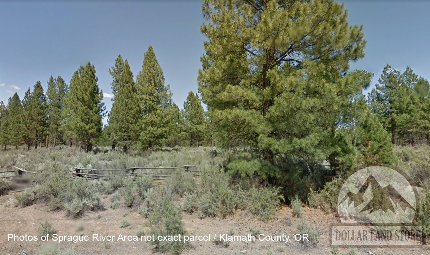L206900-1 1.50 Acres in Oregon Pines Subdivison, Klamath County, OR $7,999.00 ($100.20/ Month)