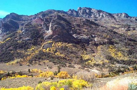 #L00195-1 163 Acres in Humboldt County, Nevada   $69,000.00 ($555.03/Month)