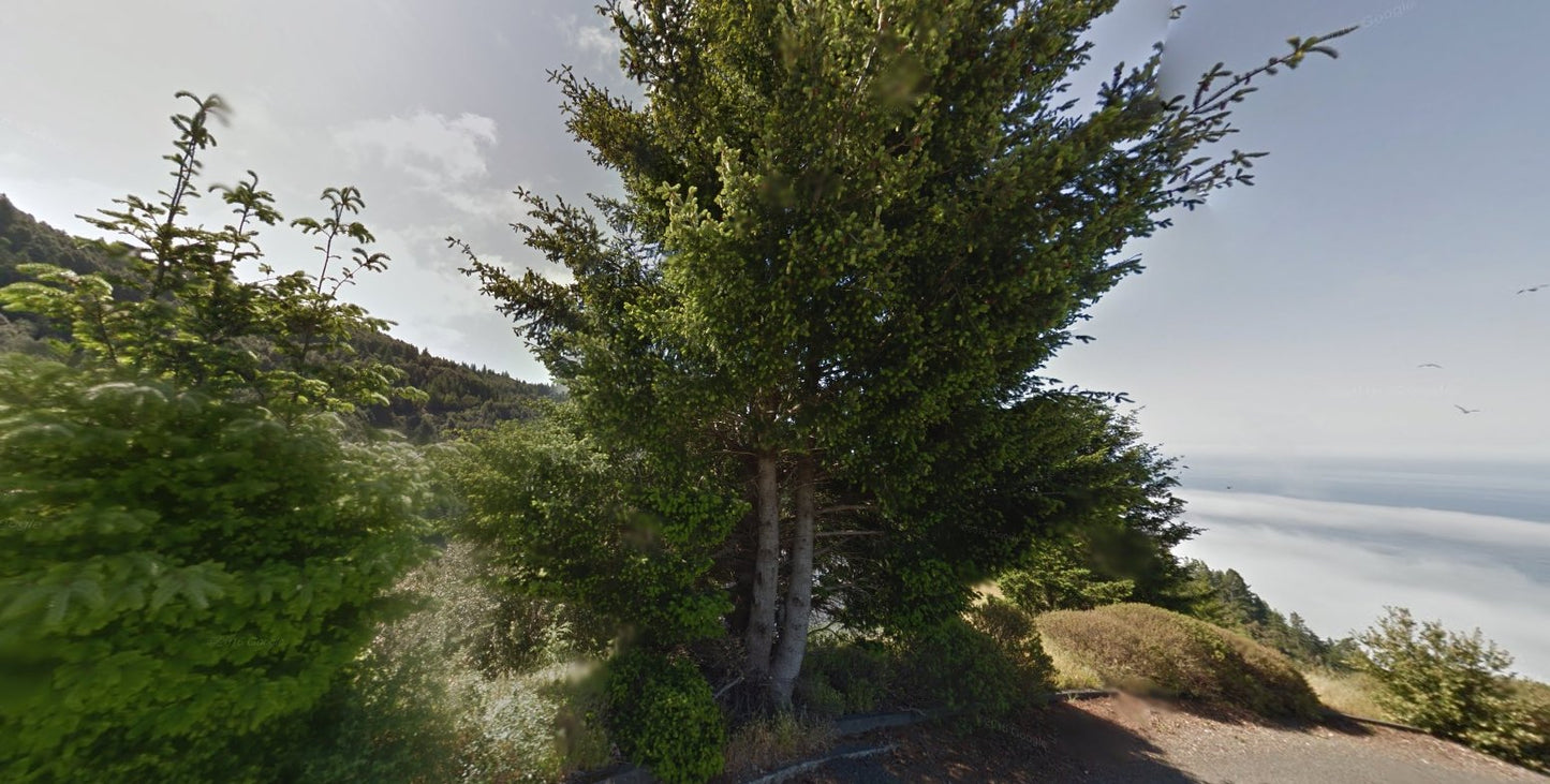 #L00477-1 Own Your Piece of Shelter Cove, California $24,999.00 ($336.88/Month)