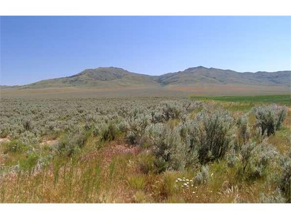 #L03613-1  10 Acres in Malheur County, OR $8,499.00 ($114.77/Month)