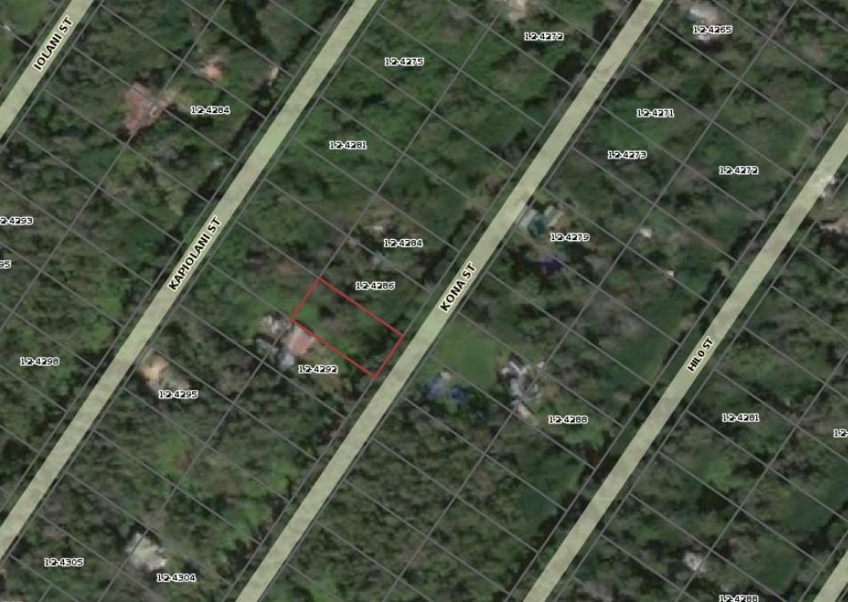 Dollar Land Store Cheap Land Black Sand Subdivision Plat Map L03677-1