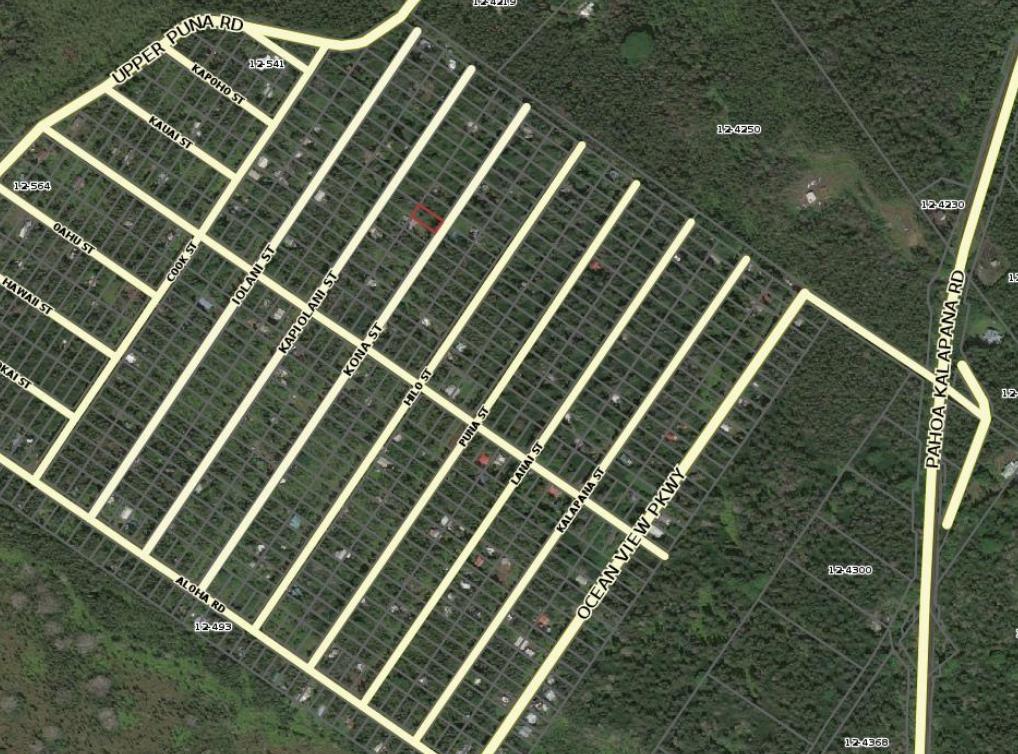 Dollar Land Store Cheap Land Black Sand Subdivision Plat Map L03677-1