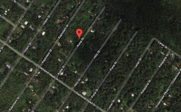 Dollar Land Store Cheap Land Black Sand Subdivision Plat Map L03677-1
