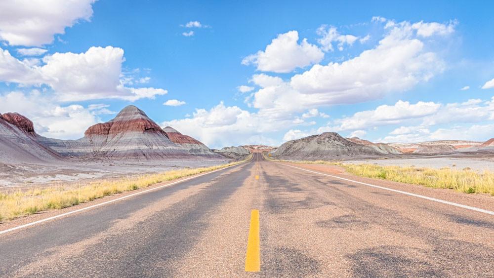 #L204164-1 40 Acres Nearby Historic Route 66, Navajo County, AZ   $25,999.00 ($282.86/Month)