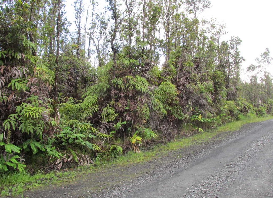 #L04189-1 Own a piece of your own Rain Forest with 3 Acres of Paradise in Fern Forrest Hawaii $35,899.00 ($404.73/Month)