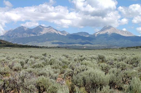 #L04204-1 5 Rural Acres in the Top of the World Subdivision in Southern Colorado $9,995.00 ($124.62/Month)
