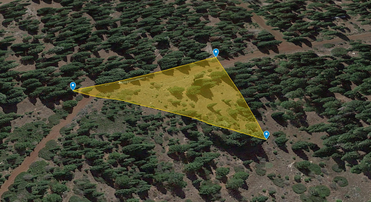 #L05055-1 1.25 Acres in California Pines, Modoc CA $5,899.00 ($80.38/Month)