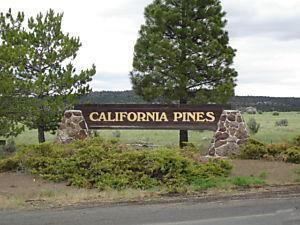#L05055-1 1.25 Acres in California Pines, Modoc CA $5,899.00 ($80.38/Month)