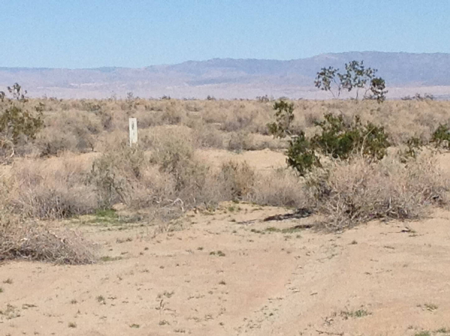 #L05832-1 .23 Acre Lot in Salton City, California $10,995.00 ($135.60/Month)
