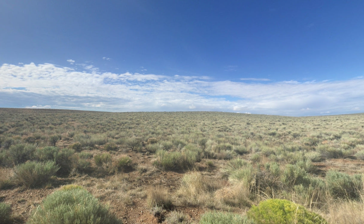 #L05895-1 5 Acres in Rio Grande Ranches Costilla, Colorado $5,995.00 ($88.95/Month)