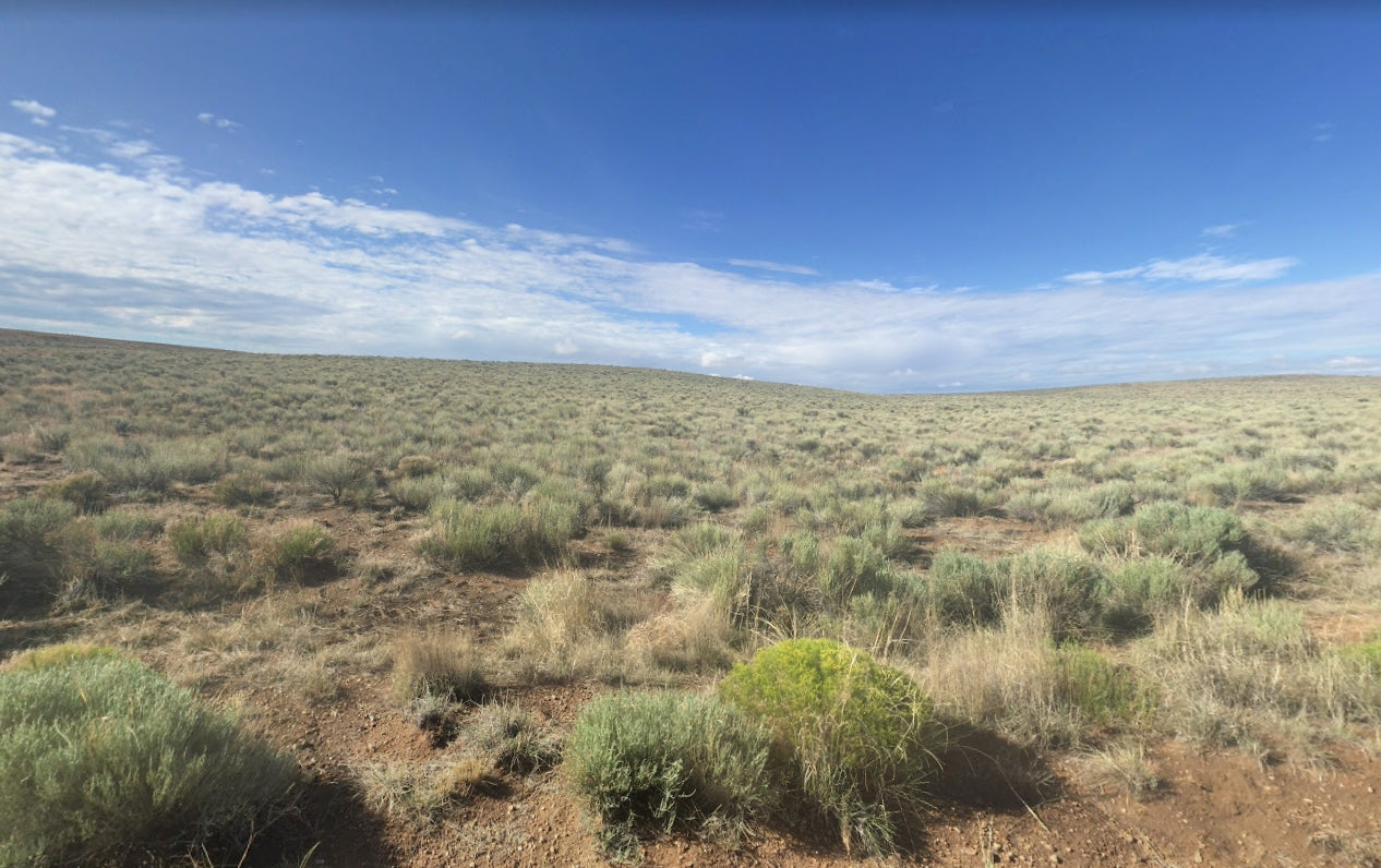 #L05898-1 5 Acres in Rio Grande Ranches Costilla, Colorado $9,995.00 ($122.49/Month)
