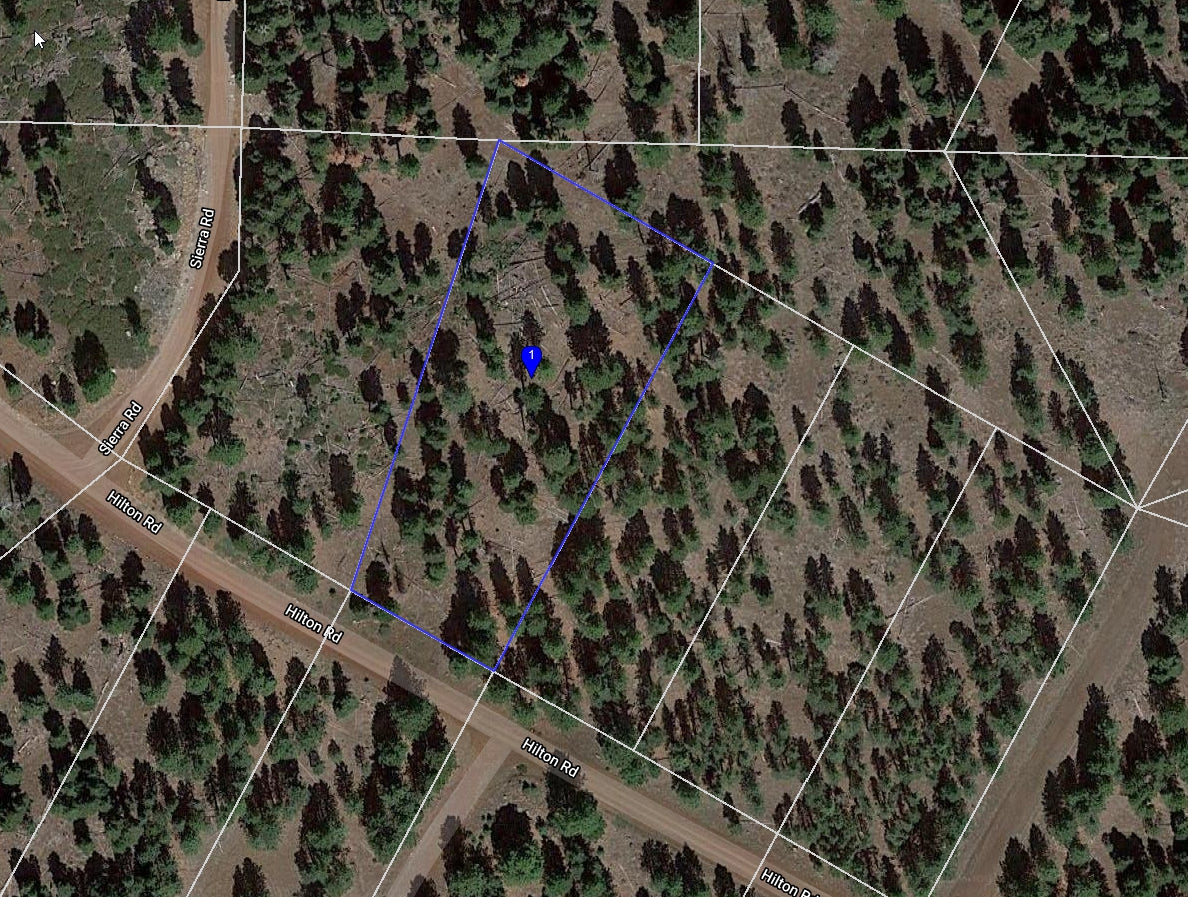 #L09855-1 1.17 Acres in California Pines, Modoc CA $7,299.00 ($132.35/Month)