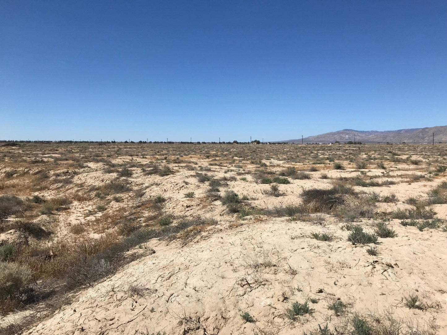 #L100132-1 20.22 Acres in Kern County, CA $64,499.00 ($682.73/Month)
