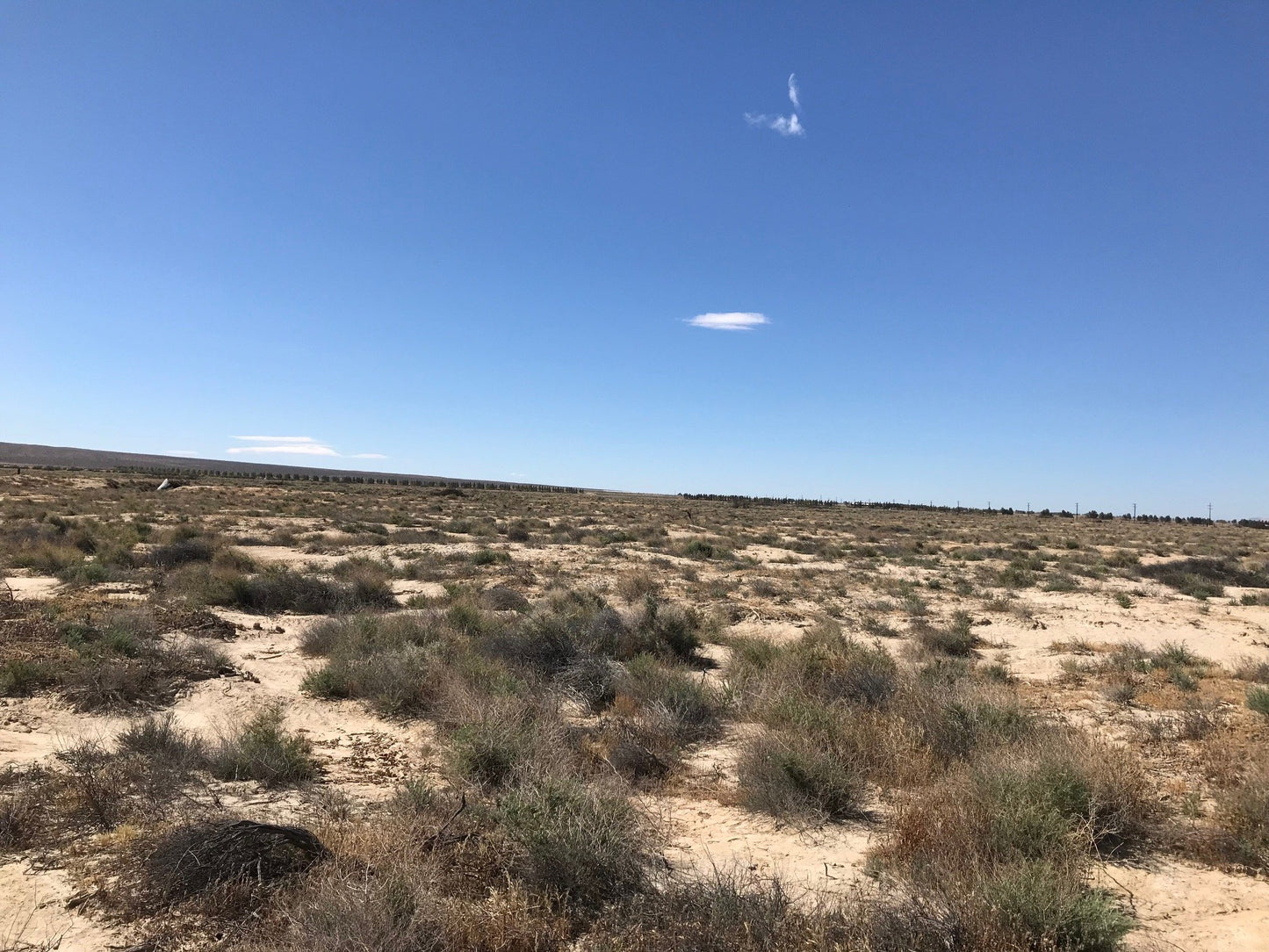 #L100132-1 20.22 Acres in Kern County, CA $64,499.00 ($682.73/Month)