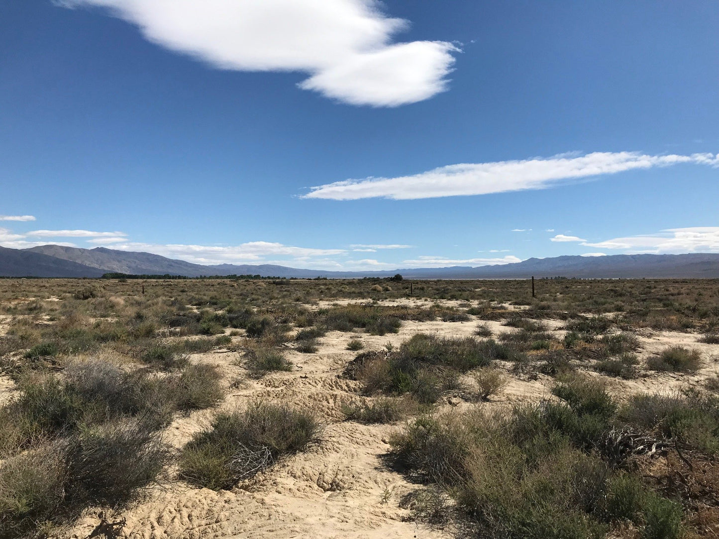 #L100132-1 20.22 Acres in Kern County, CA $64,499.00 ($682.73/Month)