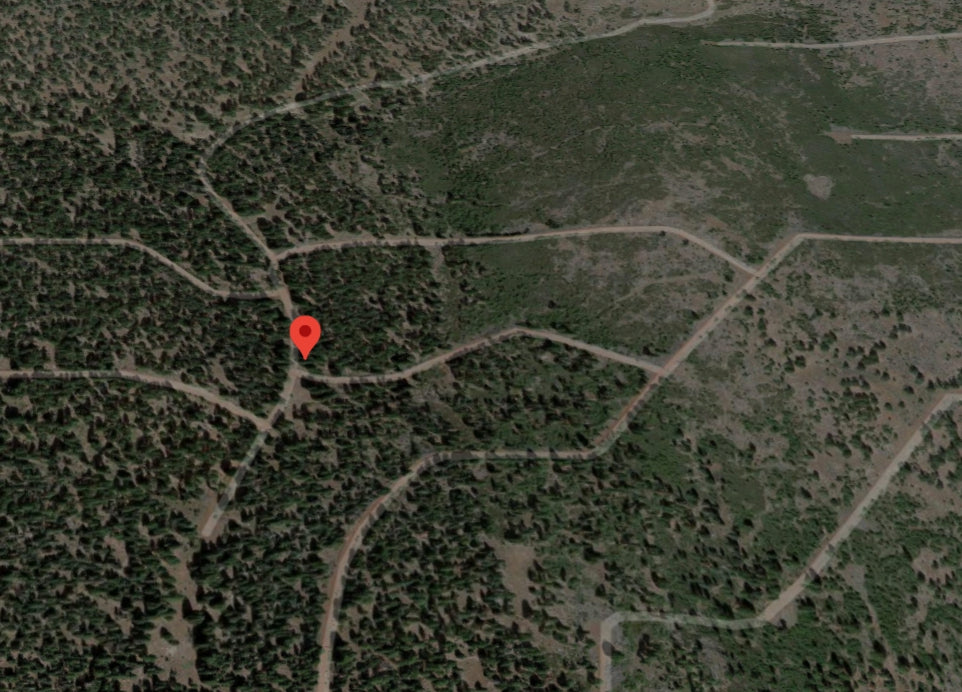 #L100205-1 1.46 Acres / Wooded Lot in California Pines, Modoc CA $7,499.00 ($132.35 / Month)