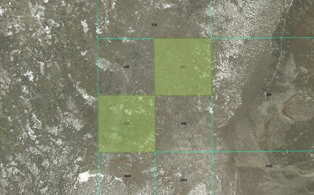 #L100266-1 80 Acres in Malheur County, OR $14,499.00 ($164.53/Month)