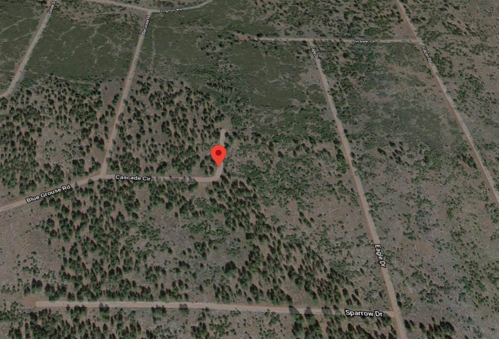 #L11676-1 1.43 Acres / Wooded Lot in California Pines, Modoc CA $7,499.00 ($132.35/Month)