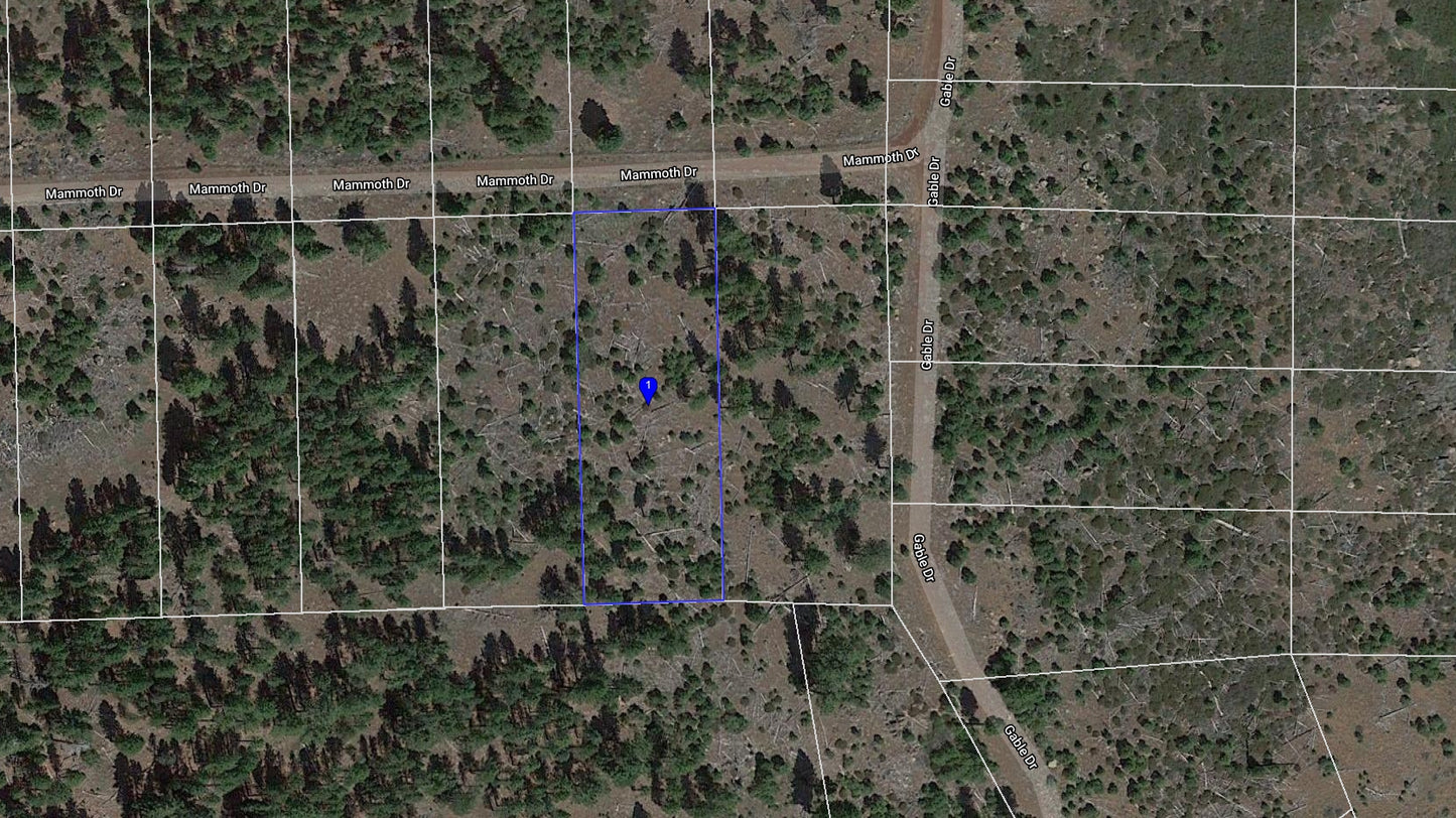 #L209847-1 .92 Acres in California Pines, Modoc CA $5,899.00 ($114.49/Month)