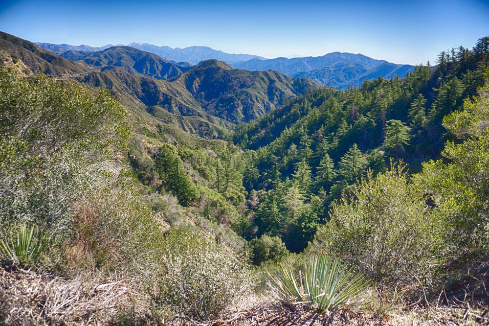 #L05055-1 1.25 Acres in California Pines, Modoc CA $5,899.00 ($80.38/Month)