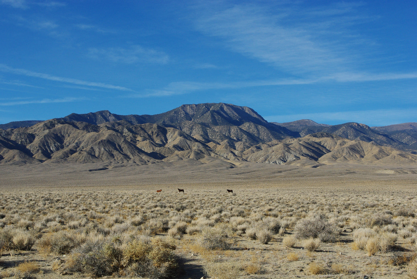 #L05909-1 Beautiful views from 5 Acres in San Luis Valley Ranches, Costilla County, Colorado $9,995.00 ($116.14/Month)
