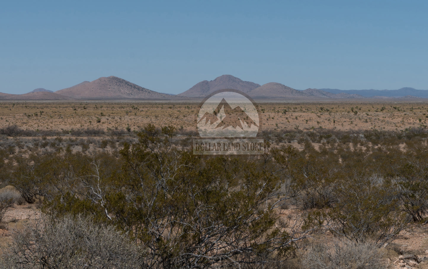 #L206744-1 10 Acres in Luna County, NM $8,999 ($125.26/Month)