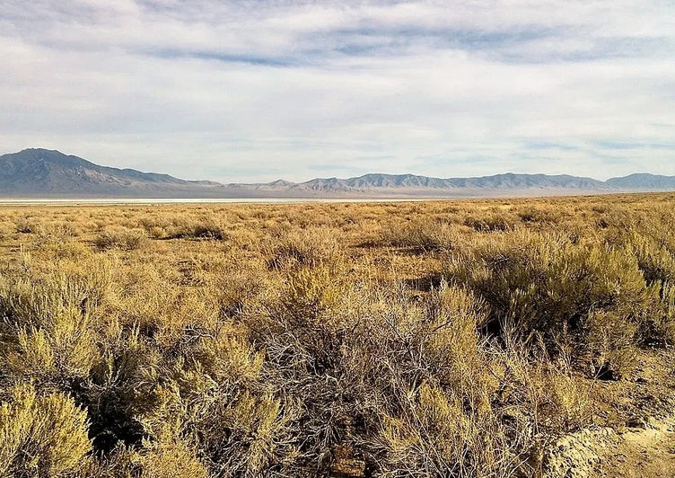 #L40058-1 10 Acres in Pershing County, Nevada   $16,999.00 ($230.10/Month)