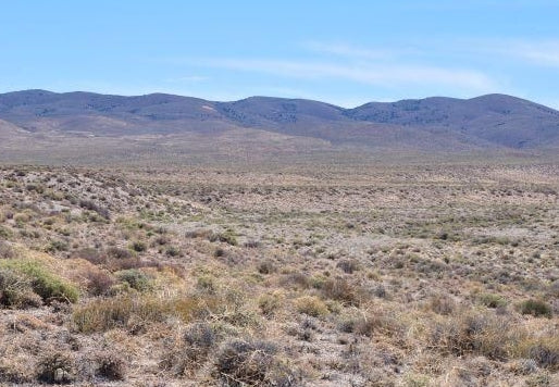 #L40058-1 10 Acres in Pershing County, Nevada   $16,999.00 ($230.10/Month)
