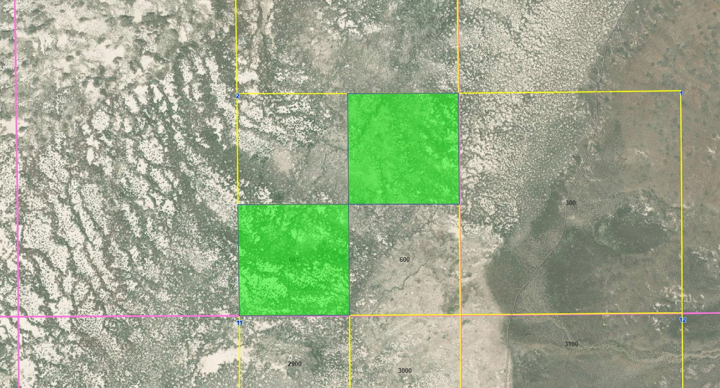 #L100266-1 80 Acres in Malheur County, OR $14,499.00 ($164.53/Month)